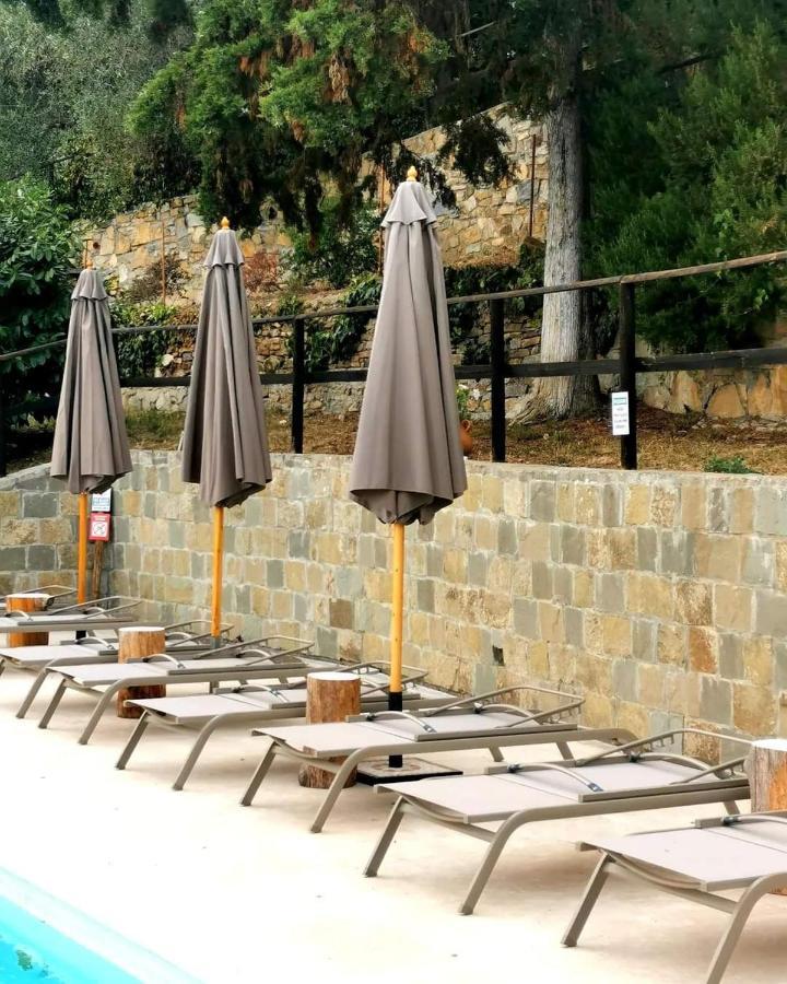 Agriturismo Osteria Du Barba Pe' - Casa Cassini 博尔迪盖拉 外观 照片
