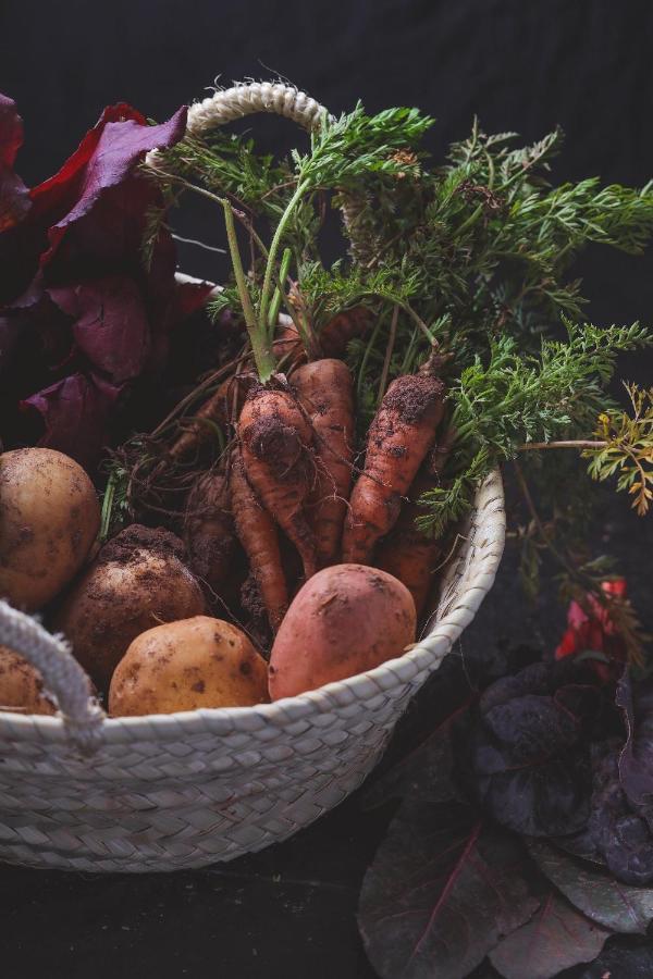 Agriturismo Osteria Du Barba Pe' - Casa Cassini 博尔迪盖拉 外观 照片