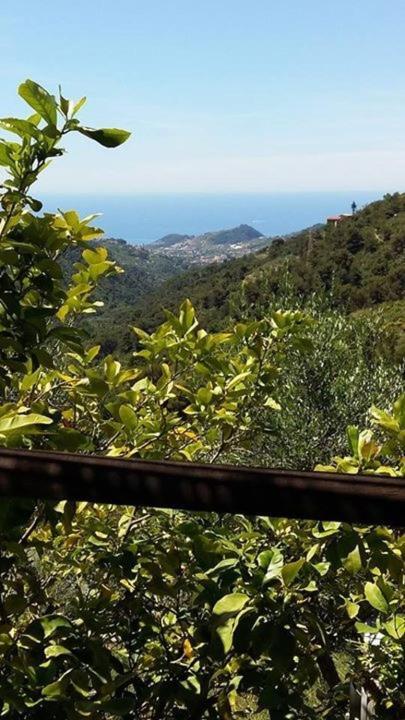 Agriturismo Osteria Du Barba Pe' - Casa Cassini 博尔迪盖拉 外观 照片